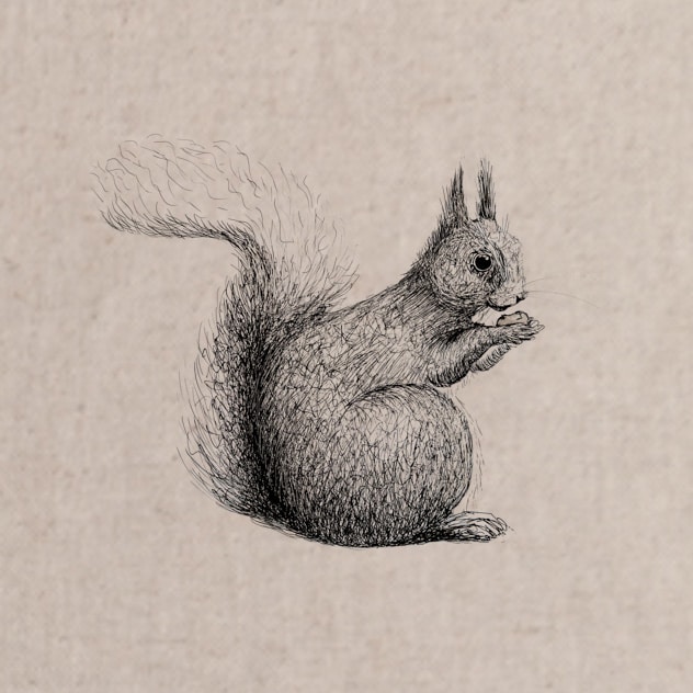 Sketch Squirrel (panel or kit)