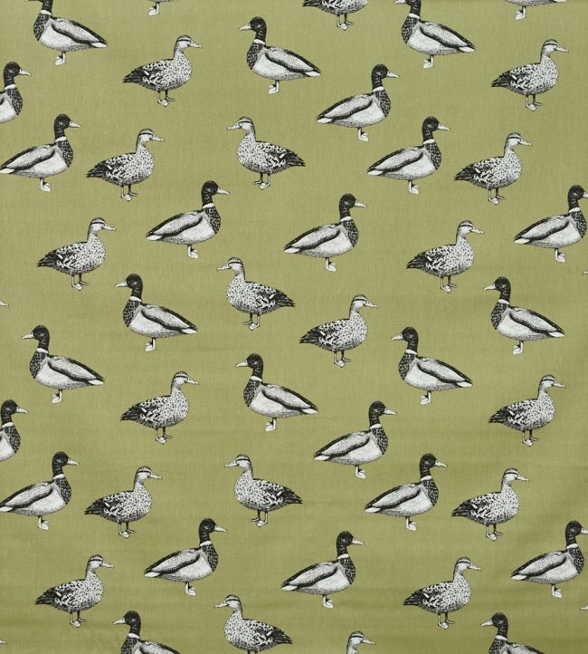 Duck Willow Fabric